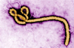 Indian-origin researcher helps in Ebola vaccine trials